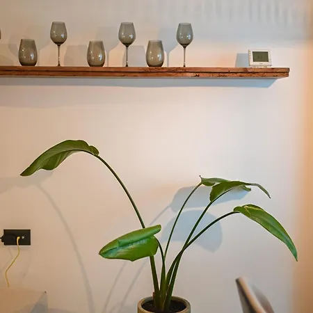 Sun & Fun Infinity Pool Apartament *