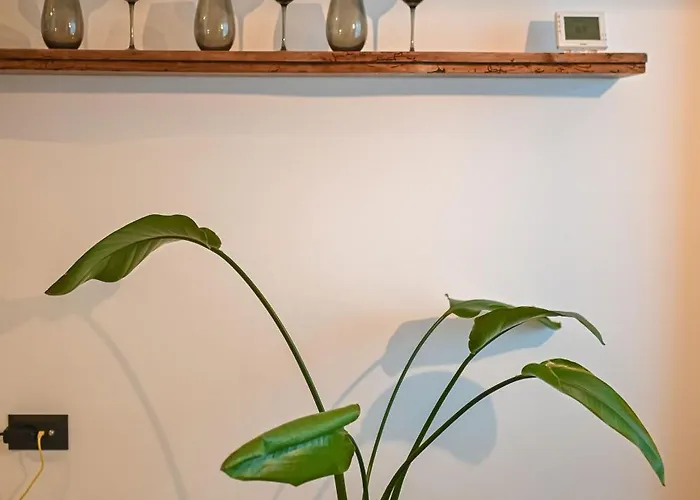 Sun & Fun Infinity Pool شقة *